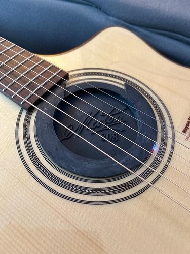 Maton feedback buster - buster,